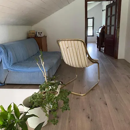 Tina 아파트 Tekija (Bor)